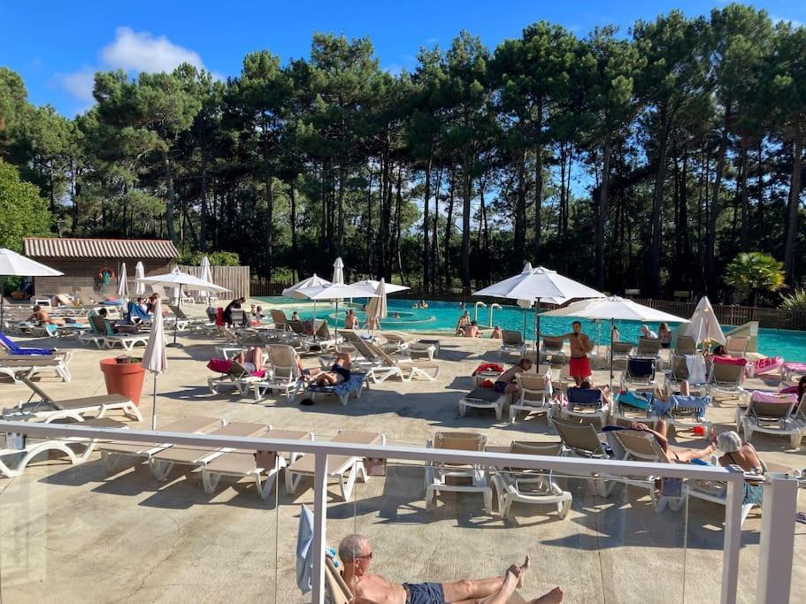 Appart' Dans Les Pins, Ocean, Lac, Piscine Lacanau Eksteriør bilde